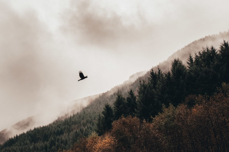 Lake Lommond, Scotland