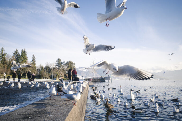 Lake Zug, Switzerland